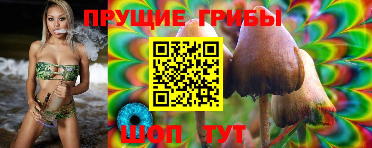 Соль-Илецк  Галлюциногенные грибы Psilocybe  Вход с VPN 