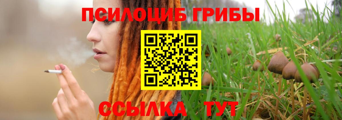 Псилоцибиновые грибы GOLDEN TEACHER Соль-Илецк
